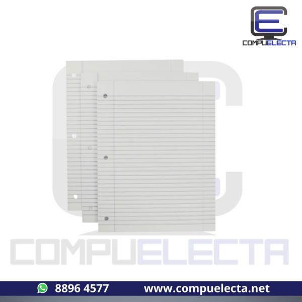 HOJAS RAYADAS PARA PORTAFOLIO 100U