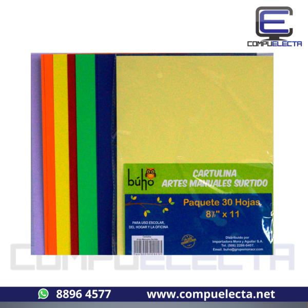 CARTULINA CARTA COLORES FUERTES SURTIDO BUHO 30U