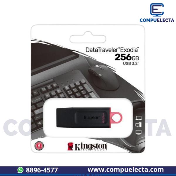 MEMORIA USB 256GB KINGSTON DTX/256GB NEGRA