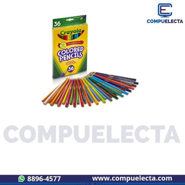 LAPIZ DE COLOR LARGOS X36 EN CAJA CRAYOLA