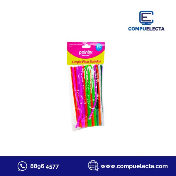 LIMPIA PIPAS SURTIDO 100 PIEZAS POINTER DY6305